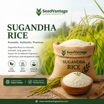 Mumbai, Wholesale Products, Why Sugandha Rice Is The Preferred Choice For Global Food Businesses