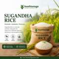 Why Sugandha Rice Is The Preferred Choice For Global Food Businesses