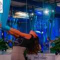Transform Your Fitness Routine With Aerial Yoga Classes