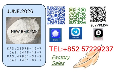 Algiers, Artists, Original Manufacturer PM.K Oil CAS 28578-16-7 Using B.MK Powder 5449-12-7