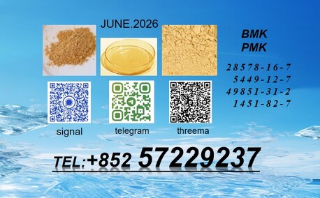 Algiers, Artists, Original Manufacturer PM.K Oil CAS 28578-16-7 Using B.MK Powder 5449-12-7