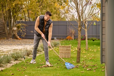 London, Business, Transform Your Garden &ndash; Fast & Hassle-Free Waste Removal!