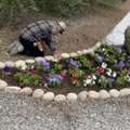 Panthers Landscape | Commercial Landscaping Napa & Lawn Care Experts