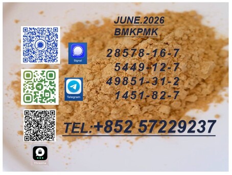 Kabul, Musicians, Air Shipping  28578-16-7 // 5449-12-7 Good Quality