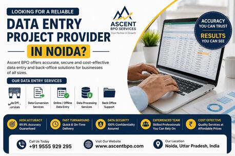 Noida, Business, Data Entry Project Provider In Noida