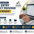 Data Entry Project Provider In Noida