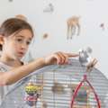 Interactive Pet Toys For Dogs And Cats | Fun & Engaging Playtime