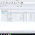 Enhance Workforce Management Using Sage 300 People
