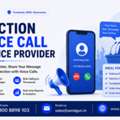 Reach More Voters With Automated Campaign Calling