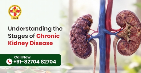 Chandigarh, Health, Natural Support For Chronic Kidney Disease | HiiMS Kidney Care