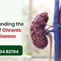Natural Support For Chronic Kidney Disease | HiiMS Kidney Care