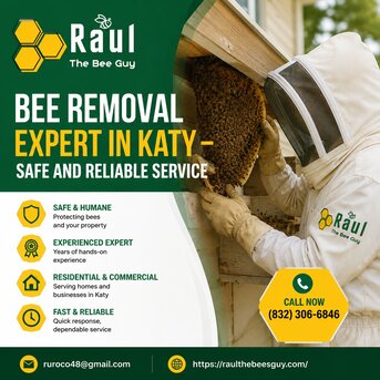 New York, Pest Control, Bee Removal Expert In Katy &ndash; Safe And Reliable Service