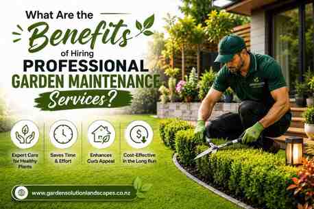 Auckland, Farm/Garden, What Are The Benefits Of Hiring Professional Garden Maintenance Services?