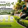 What Are The Benefits Of Hiring Professional Garden Maintenance Services?