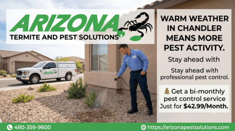 New York, Pest Control, Pest Control Gilbert AZ In Just $42.99/Month.