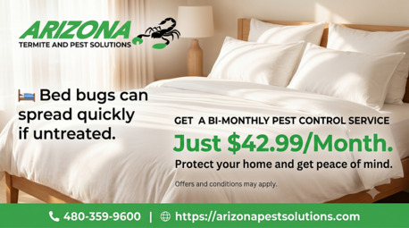 New York, Pest Control, Pest Control Gilbert AZ In Just $42.99/Month.