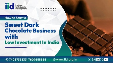 Lucknow, Business, Start Profitable A Sweet Dark Chocolate Business In India