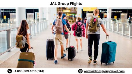 New York, Travel, What Are JAL Group Flights?