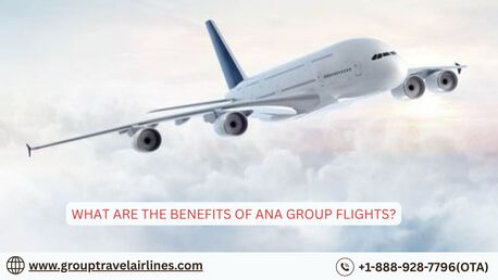 New York, Travel, What Are The Benefits Of ANA Group Flights?
