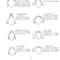 Lamp Shade Frames For Victorian And Custom Lampshade Projects In USA
