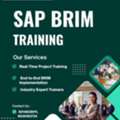 Speed Up Your Career With The Best SAP BRIM Training In Hyderabad At Version IT
