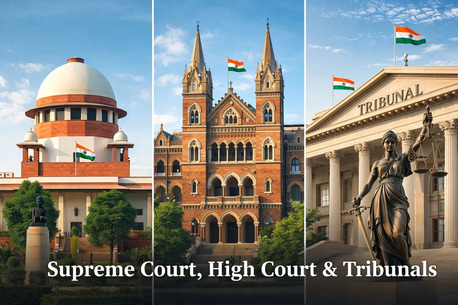 Ghaziabad, Legal, Ace Supreme Court Advocate For Appeal & Litigation Representation