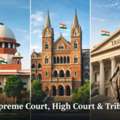 Ace Supreme Court Advocate For Appeal & Litigation Representation