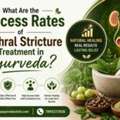 What Are The Success Rates Of Urethral Stricture Treatment In Ayurveda?