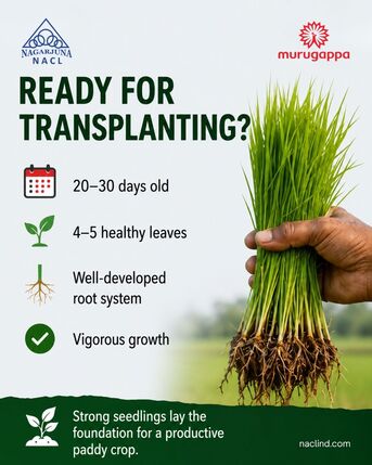 Hyderabad, Farm & Garden, INR 500,  Best Herbicides For Farming | NACL Industries