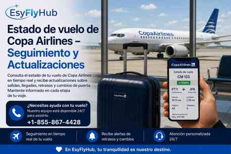 New York, Travel, Estado De Vuelo De Copa Airlines &ndash; Seguimiento Y Actualizaciones