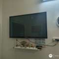 SAR 700,  SAMSUNG 53 INCH LED TV WITH AMAZON FIRE TV STICK