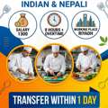 Urgent Need Kichen Helper
