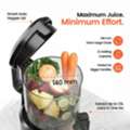 Shop Cold Press Slow Juicer For Fresh Juices