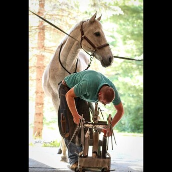 New York, Free Items, Horse Farrier & Horseshoer Farrier Services