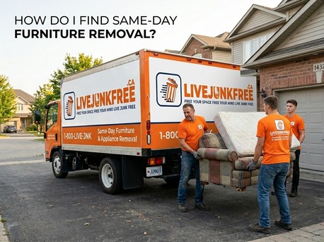 Toronto, Cleaning, Need Same-Day Furniture Removal? Find Fast Solutions Today