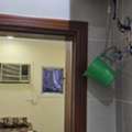 SAR 1100/month,  Separate Room In 2 BHK Apartment