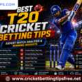 Top Live Cricket Session Tips For Match Followers