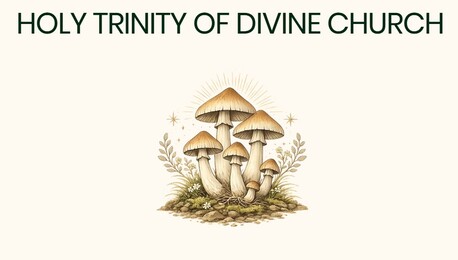 Los Angeles, Health, Psilocybin Psychedelic Mushrooms Santa Clara | Faith-Based Community Growth