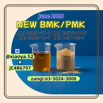 Berlin, Recycling, Verified PM-K CAS 28578-16-7 Integrated Alongside BM.K 5449-12-7
