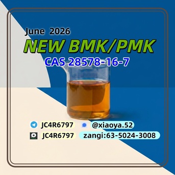 Berlin, Recycling, Verified PM-K CAS 28578-16-7 Integrated Alongside BM.K 5449-12-7