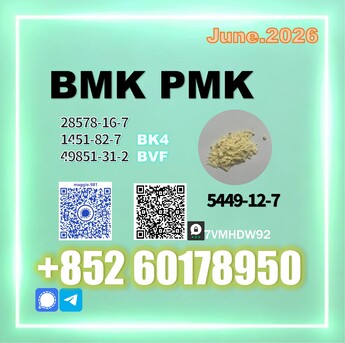 The Hague, Materials, Usd 170,  CAS 5449-12-7 B.MK PM.K Fast Processing