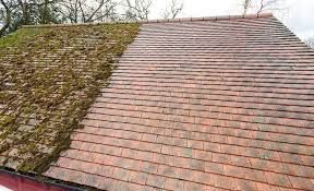 London, Cleaning, Restore Your Roof With Expert Moss Removal In Stanmore