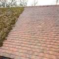 Restore Your Roof With Expert Moss Removal In Stanmore