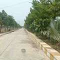 INR 24999,  221 Sq. Yard,  Plots For Sale Near Bangalore Highway - Hyderabad, Ameerpet - Mansanpally Cross Road