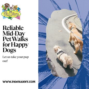 New York, Pet Sitting, Trusted Pet Walk Services In Fairfax, VA | Daily Exercise & Personalized Pet Care