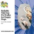 Trusted Pet Walk Services In Fairfax, VA | Daily Exercise & Personalized Pet Care