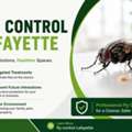 Fly Control Lafayette: Keep Your Home Pest-Free