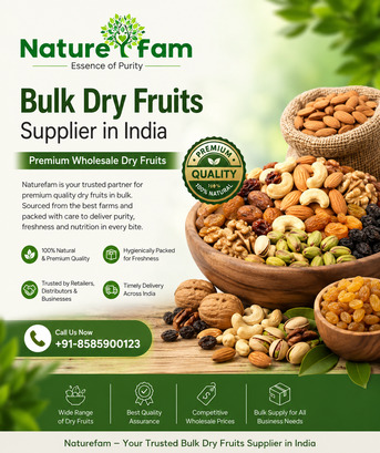 Faridabad, Food, Bulk Dry Fruits Supplier In India &ndash; Premium Wholesale Dry Fruits | Naturefam