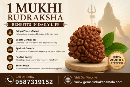 Mumbai, Health, 1 Mukhi Rudraksha Benefits In Daily Life