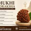 1 Mukhi Rudraksha Benefits In Daily Life